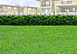 Lot for Sale in Taysan, Legazpi City, Albay