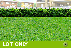 Lot for Sale in Taysan, Legazpi City, Albay